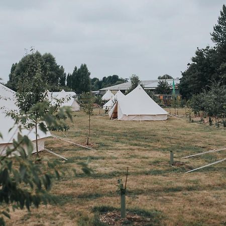 Hôtel The Holford Arms Chalets And Glamping à Didmarton Extérieur photo