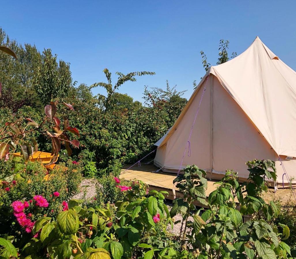 Hôtel The Holford Arms Chalets And Glamping à Didmarton Extérieur photo