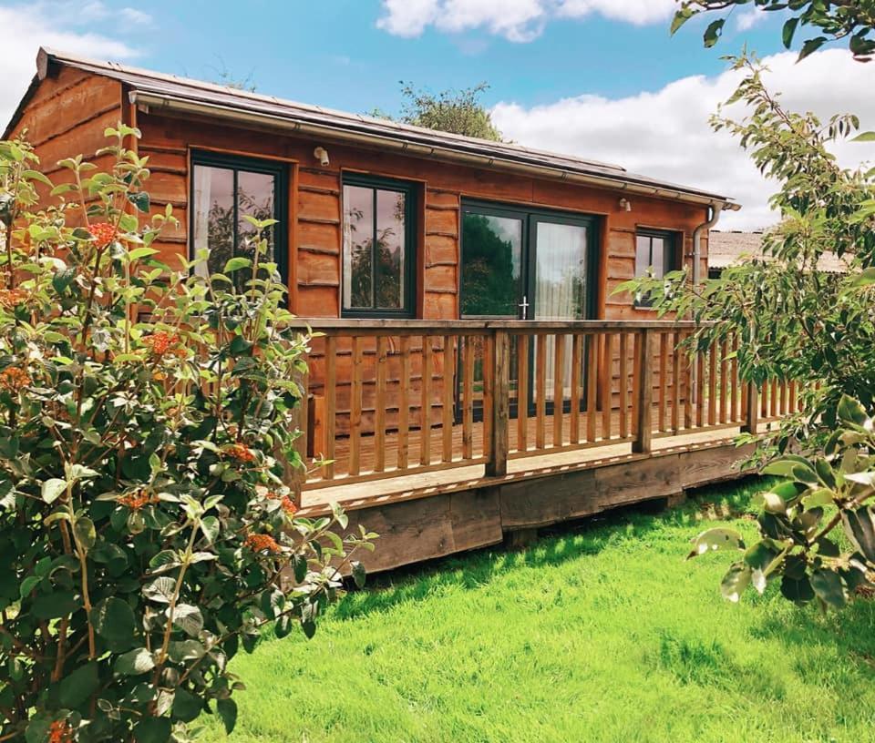 Hôtel The Holford Arms Chalets And Glamping à Didmarton Extérieur photo