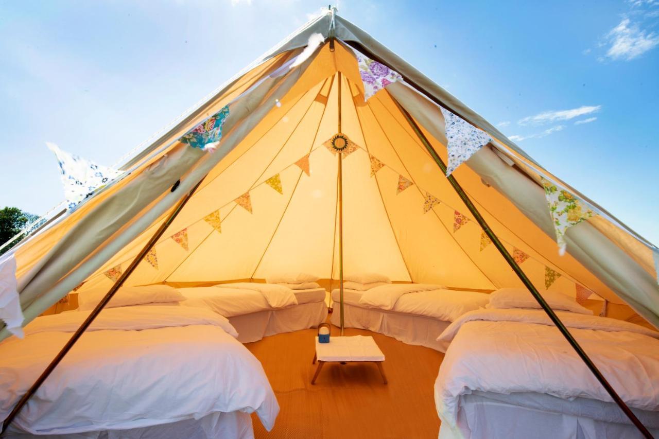 Hôtel The Holford Arms Chalets And Glamping à Didmarton Extérieur photo